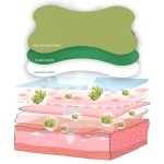 Arm Slimming Patch Supplier - Herbal Medicine Target Weight Loss