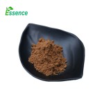 Propolis Capsules Supplier - Softgel Extract Powder