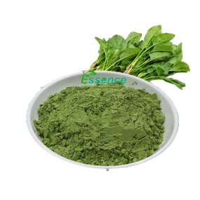 Spinach Powder Supplier - Dehydrated Vegetable Greens