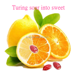 Miracle Berry Powder Manufacturer - Synsepalum Dulcificum Extract