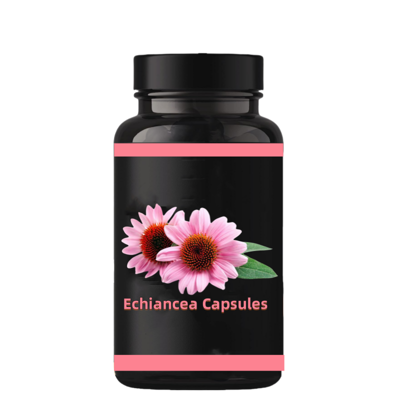 Echinacea Powder Manufacturer - Purpurea Herb Extract