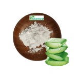 Aloe Vera Powder Manufacturer - Cosmetic Grade 200x Gel