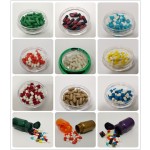 Agaricus Powder Manufacturer - Bisporus 10-50% Polysaccharide