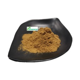 Sang Hwang Powder Supplier - Phellinus Linteus Extract