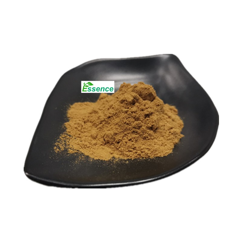 Sang Hwang Powder Supplier - Phellinus Linteus Extract