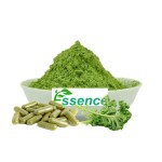 Pink Pitaya Powder Manufacturer - Water Soluble Fruit Juice