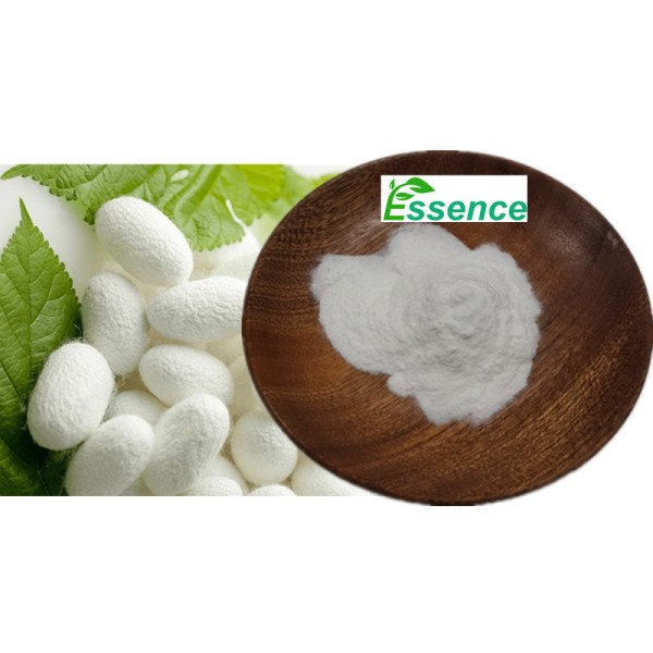 Silk Protein Powder Manufacturer - Hydrolyzed Silk Amino Acid