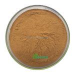 Lions Mane Powder Supplier - Hericium 20-50% Polysaccharides