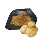 Shiitake Powder Manufacturer - Mushroom Extract Polysaccharides