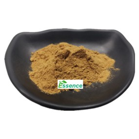 Sparassis Powder Supplier - Crispa Mushroom Extract