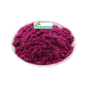 Dragon Fruit Powder Supplier - Freeze Dried Red Pitaya