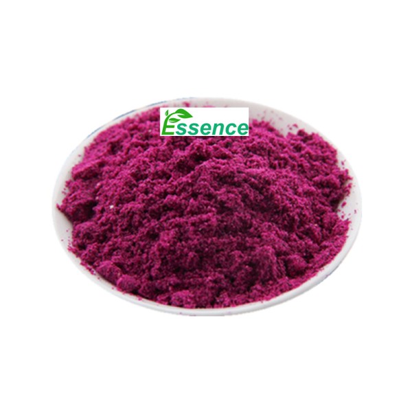Dragon Fruit Powder Supplier - Freeze Dried Red Pitaya
