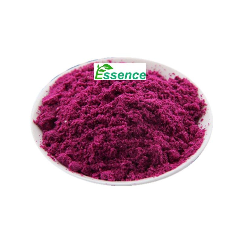 Dragon Fruit Powder Supplier - Freeze Dried Red Pitaya