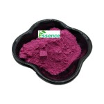 Dragon Fruit Powder Supplier - Freeze Dried Red Pitaya