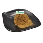 Chaga Extract Powder Manufacturer - 10-50% Polysaccharides