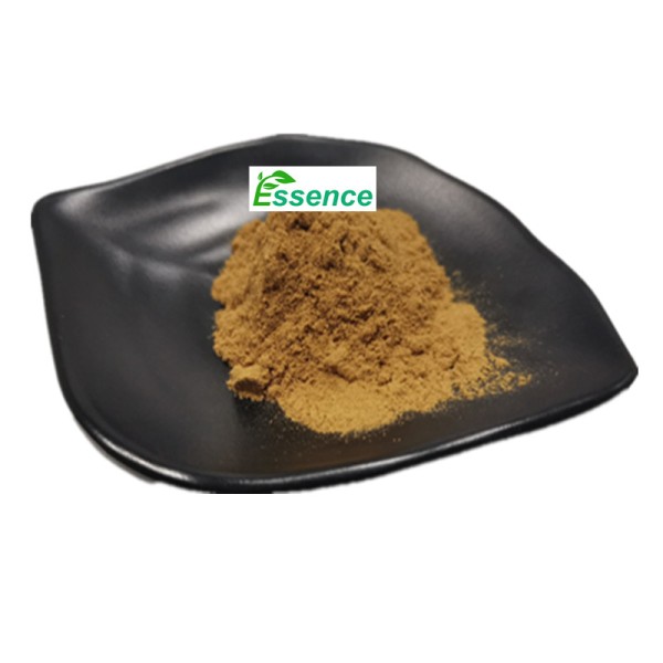 Chaga Extract Powder Manufacturer - 10-50% Polysaccharides