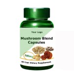 Ganoderma Spores Powder Supplier - Reishi Mushroom Broken