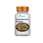 Turkesterone Powder Factory - Ajuga Turkestanica Extract