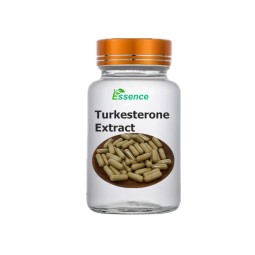 Turkesterone Powder Factory - Ajuga Turkestanica Extract