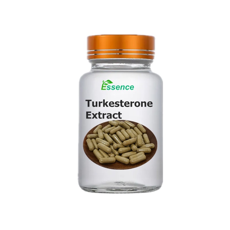 Turkesterone Powder Factory - Ajuga Turkestanica Extract
