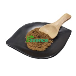 Cistanche Powder Supplier - Tubulosa 50% Echinacoside