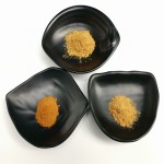 Sparassis Powder Supplier - Crispa Mushroom Extract