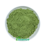 Spinach Powder Supplier - Dehydrated Vegetable Greens