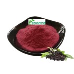 Dragon Fruit Powder Supplier - Freeze Dried Red Pitaya