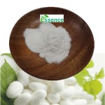 Silk Protein Powder Manufacturer - Hydrolyzed Silk Amino Acid