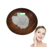 Alpha Arbutin Powder Manufacturer - Skin Whitening Raw Material