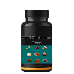 Mushroom Blend Powder Factory - Maitake Shiitake Cordyceps