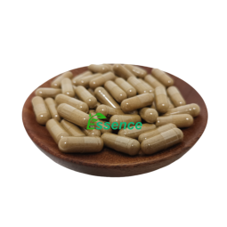 Echinacea Extract Factory - Polyphenols Customized Capsules