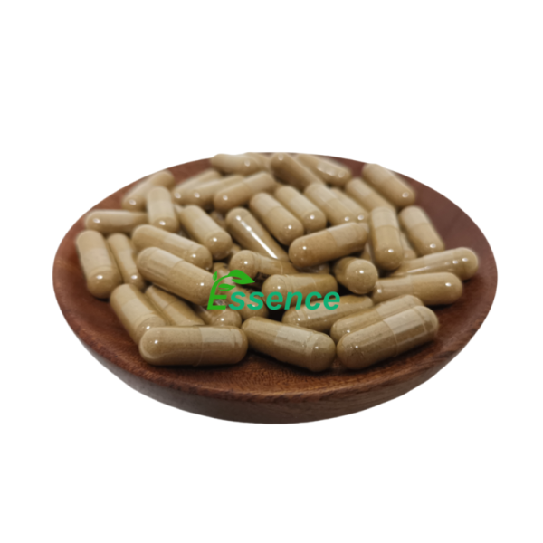 Echinacea Extract Factory - Polyphenols Customized Capsules