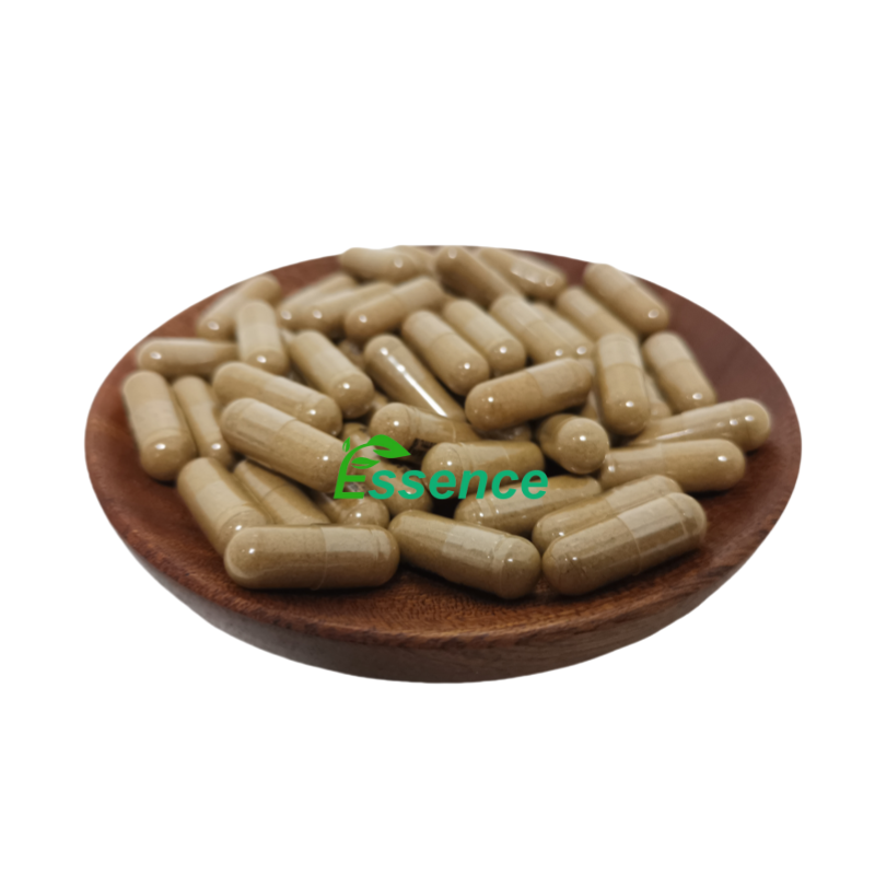 Echinacea Extract Factory - Polyphenols Customized Capsules