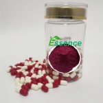 Blueberry Powder Supplier - 25% Anthocyanins Fruit Extract