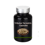 Reishi Extract Powder Supplier - Duanwood Triterpenes