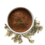 Artemisia Capsules Supplier - Natural Capillary Herbal