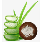 Aloe Vera Powder Manufacturer - Cosmetic Grade 200x Gel