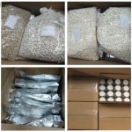 Turkesterone Powder Factory - Ajuga Turkestanica Extract