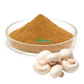 Agaricus Powder Manufacturer - Bisporus 10-50% Polysaccharide
