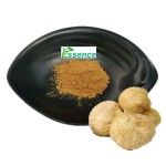 Tremella Powder Factory - Fuciformis Extract Polysaccharide