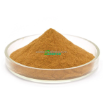 Agaricus Powder Manufacturer - Bisporus 10-50% Polysaccharide