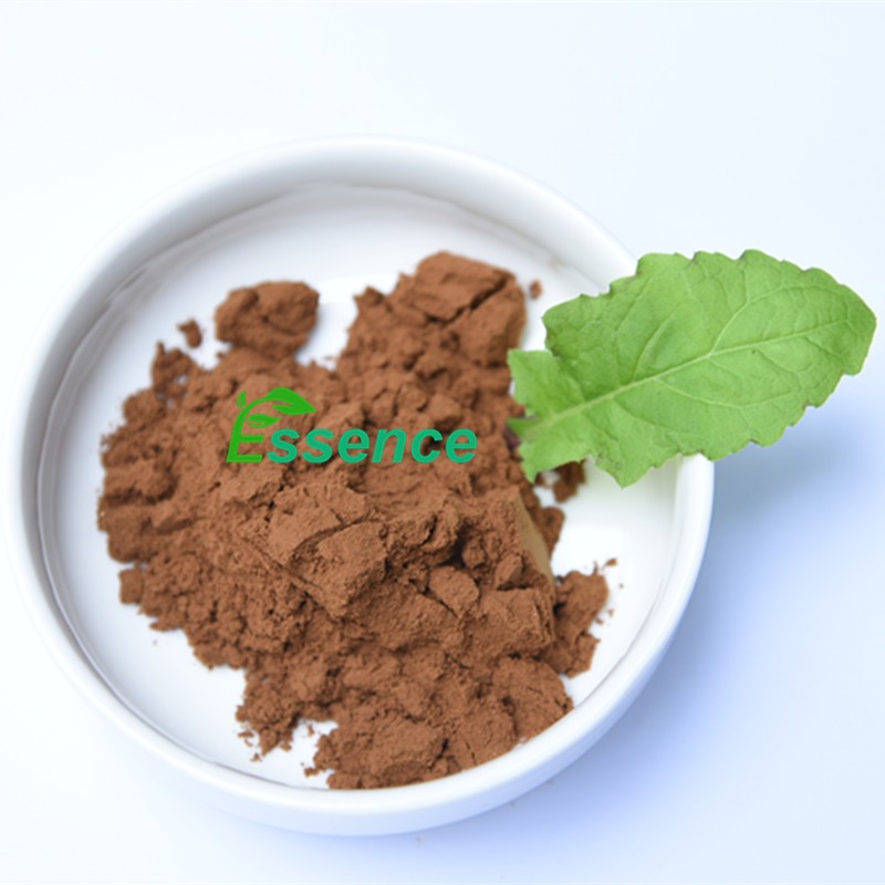 Cinnamon Powder Manufacturer - Bark Polyphenols Herb Extract