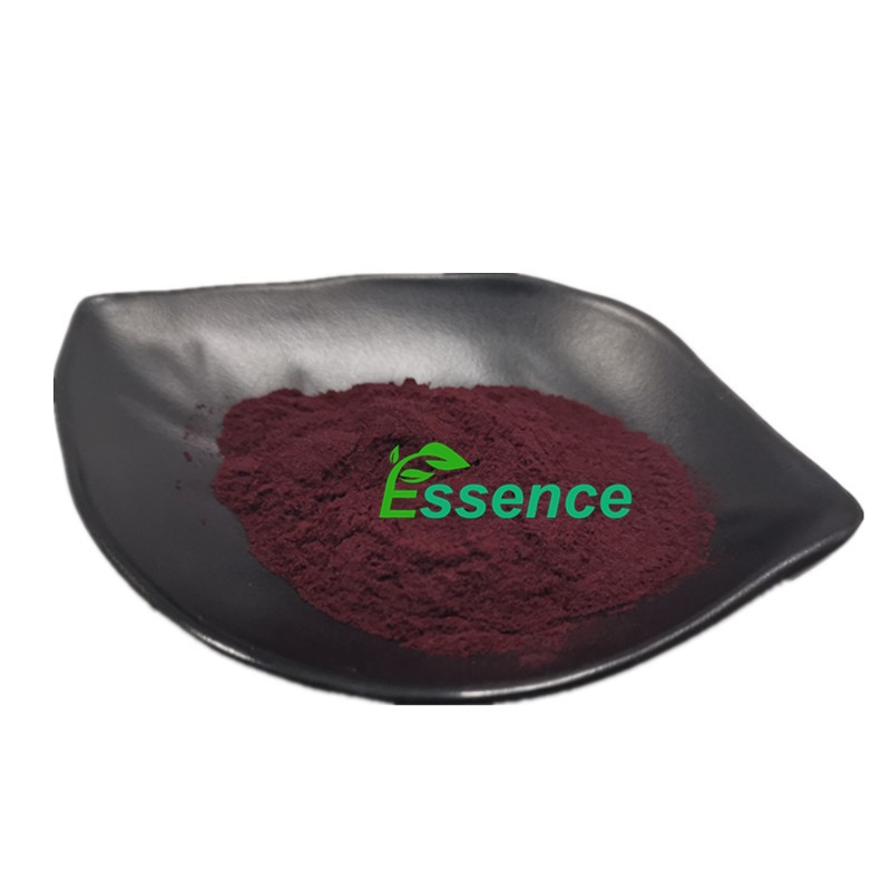Blueberry Powder Supplier - 25% Anthocyanins Fruit Extract