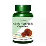 Ganoderma Spores Powder Supplier - Reishi Mushroom Broken