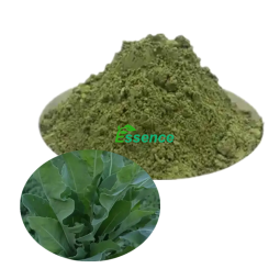 Usma Grass Powder Manufacturer - Hair Growth Enhancer Raw