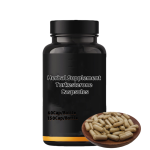 Turkesterone Capsules Factory - Herbal Supplement Ajuga