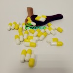 Lions Mane Powder Supplier - Mushroom Extract 10:1