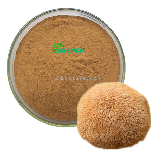 Lions Mane Powder Supplier - Hericium 20-50% Polysaccharides