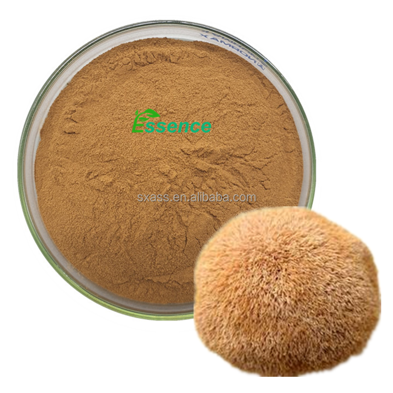 Lions Mane Powder Supplier - Hericium 20-50% Polysaccharides